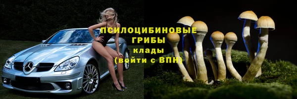 хмурый Богородск