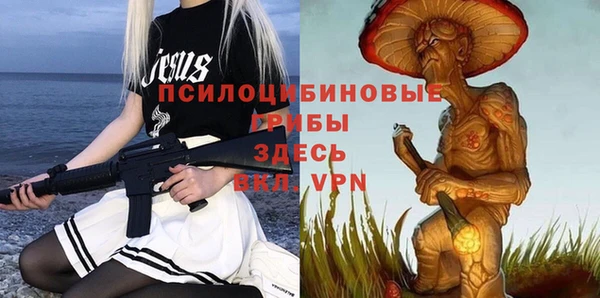 хмурый Богородск