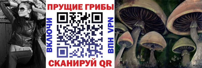 Псилоцибиновые грибы ЛСД  наркотики  Будённовск 