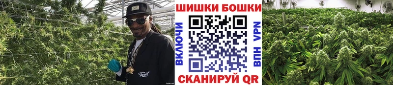 kraken как зайти  Будённовск  Бошки Шишки THC 21% 